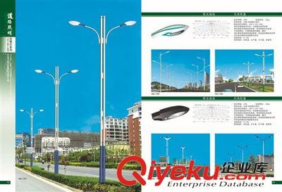 高效節(jié)能，穩(wěn)定耐用——250W道路照明燈的低價供應(yīng)與產(chǎn)品優(yōu)勢